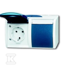 Gniazdo SCHUKO podwójne ze wstępnym okablowaniem z klapką z polem opisowym stopień ochrony: IP 45 poziomy-OC 20/2 EWN-53-500 2CKA002084A0728