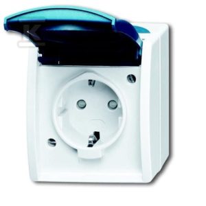 Gniazdo SCHUKO z przesłonami z szybkozłączami z klapką 2 P + E Ocean szary/zielono niebieski 20 EBW-53 2CKA002083A0842 Gniazdo SCHUKO z przesłonami z szybkozłączami z klapką 2 P + E Ocean szary/zielono niebieski 20 EBW-53 2CKA002083A0842