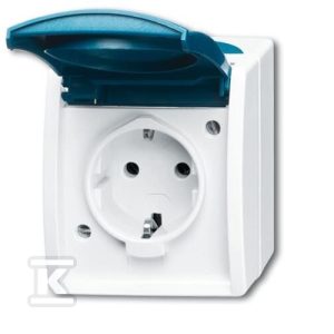 Gniazdo SCHUKO z klapką i polem opisowym z szybkozłączami 2 P + E Ocean szary/zielono niebieski 20 EWN-53-500 2CKA002083A0848 Gniazdo SCHUKO z klapką i polem opisowym z szybkozłączami 2 P + E Ocean szary/zielono niebieski 20 EWN-53-500 2CKA002083A0848