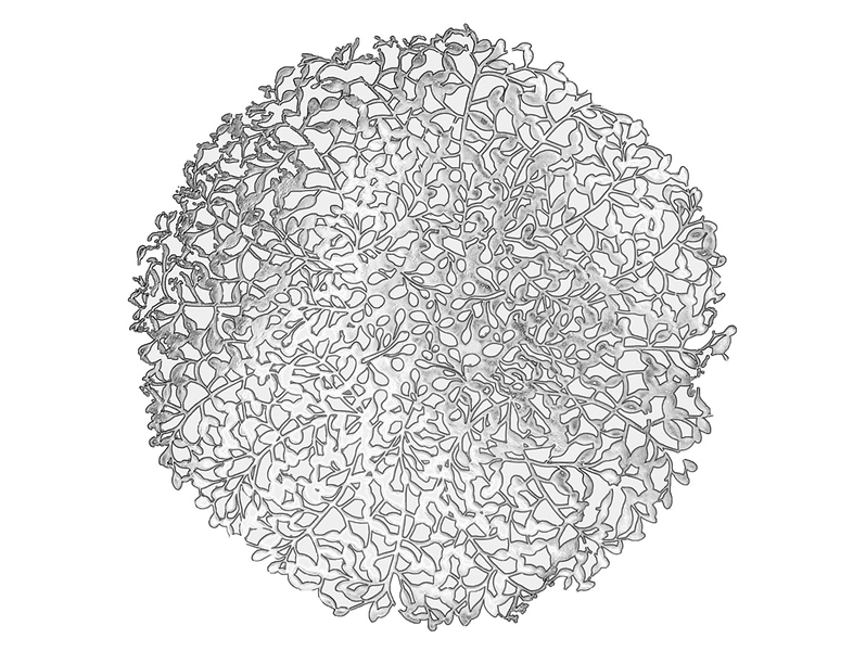 Podkładka pod talerz Flora 38 cm srebrna 42014