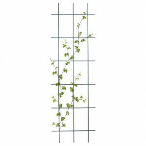 Podpora do roślin 45×150 cm krata prosta zielona 1078987 Podpora do roślin 45×150 cm krata prosta zielona 1078987