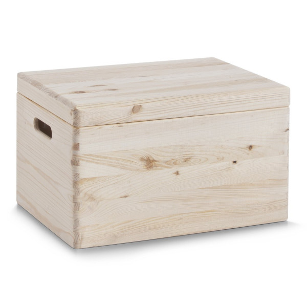Pojemnik do przechowywania z pokrywą, 30 l, ZELLER 151091