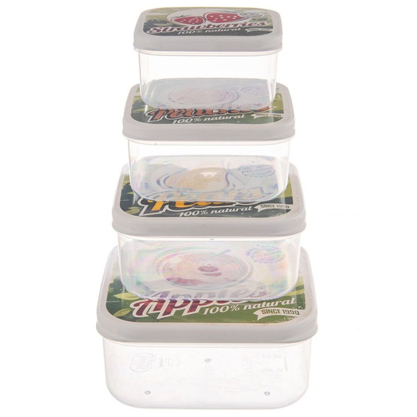 Pojemniki na żywność lunchbox 4 szt. 193851