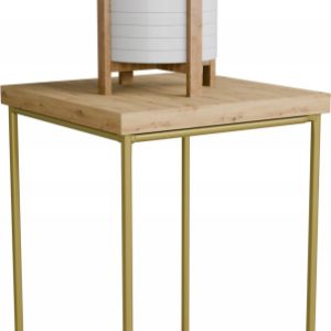 Stolik pomocniczy Druciany Kwietnik 20x20x30 Loft Złoty+Dąb Artisan 925154 Stolik pomocniczy Druciany Kwietnik 20x20x30 Loft Złoty+Dąb Artisan 925154