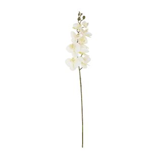 Storczyk gałązka 95 cm beżowa 55251 Storczyk gałązka 95 cm beżowa 55251