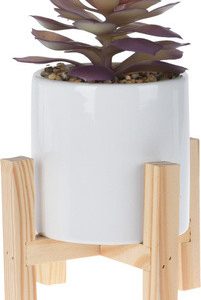 Sukulent w boho donicy fioletowy 82741