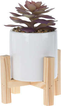 Sukulent w boho donicy fioletowy 82741