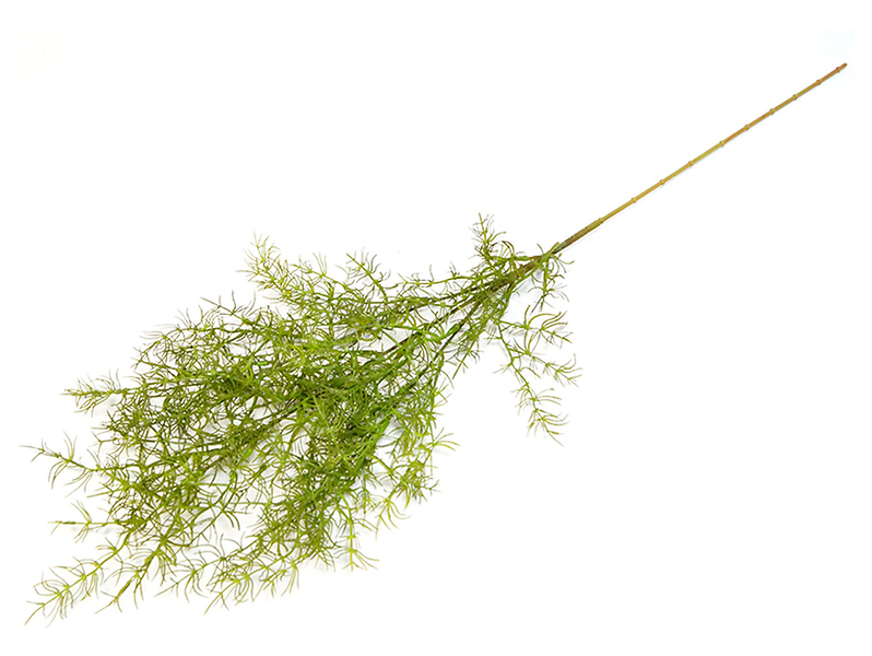 Sztuczna gałązka Asparagusa 80 cm 521019