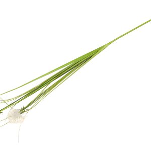 Sztuczna gałązka trawy 83 cm 47518 Sztuczna gałązka trawy 83 cm 47518
