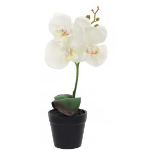 Sztuczna orchidea w doniczce 30 cm biała 189704 Sztuczna orchidea w doniczce 30 cm biała 189704