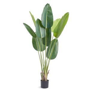 Sztuczna palma 150 cm 813786 Sztuczna palma 150 cm 813786
