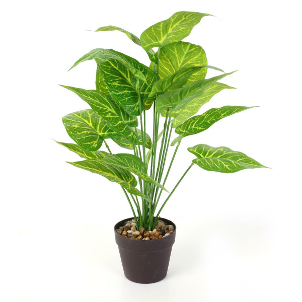 SZTUCZNA ROŚLINA Alocasia 55 cm z tworzywa sztucznego 593877