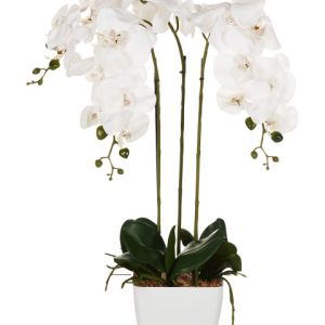 Sztuczna roślina biała orchidea w doniczce 59 cm 413024 Sztuczna roślina biała orchidea w doniczce 59 cm 413024