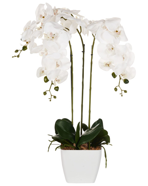 Sztuczna roślina biała orchidea w doniczce 59 cm 413024