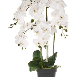 Sztuczna roślina biała orchidea w doniczce 63 cm 413028 Sztuczna roślina biała orchidea w doniczce 63 cm 413028