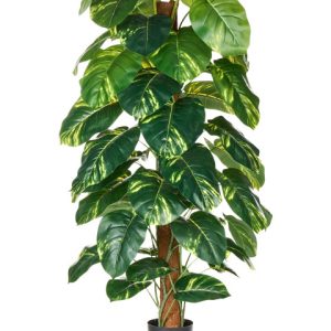 Sztuczna roślina DIEFFENBACHIA 152 cm Zielony 728991 Sztuczna roślina DIEFFENBACHIA 152 cm Zielony 728991