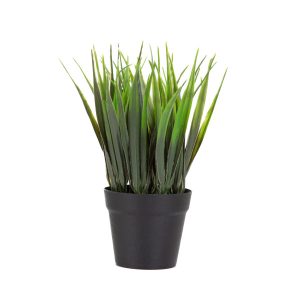 SZTUCZNA ROŚLINA DONICZKOWA B2 ERBA Essentials B2 ERBA 19 cm HOMLA 895940 SZTUCZNA ROŚLINA DONICZKOWA B2 ERBA Essentials B2 ERBA 19 cm HOMLA 895940