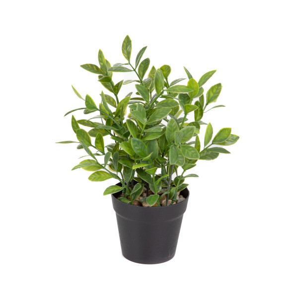 SZTUCZNA ROŚLINA DONICZKOWA B2 ZAMIONA ESSENTIALS B2 ZAMIONA 23 cm HOMLA 895956