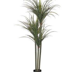 Sztuczna roślina dracena w doniczce 198 cm 279376 Sztuczna roślina dracena w doniczce 198 cm 279376