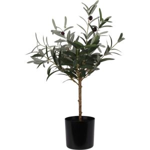 Sztuczna roślina drzewko oliwne, 66 cm 1030560 Sztuczna roślina drzewko oliwne, 66 cm 1030560
