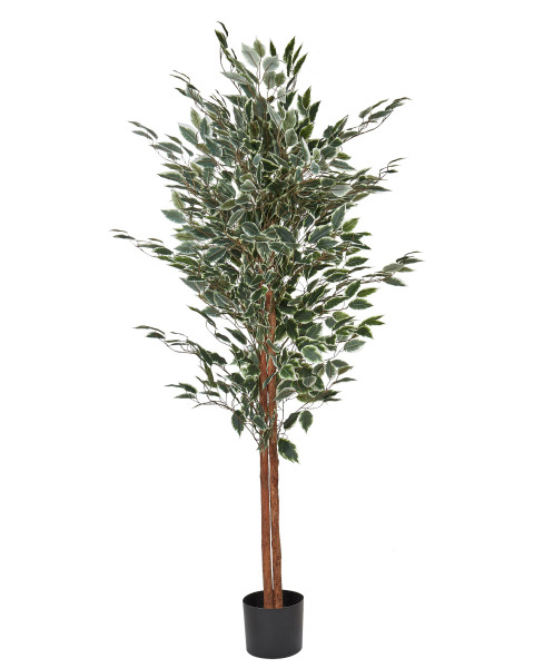 Sztuczna roślina fikus 167 cm plastik 279394