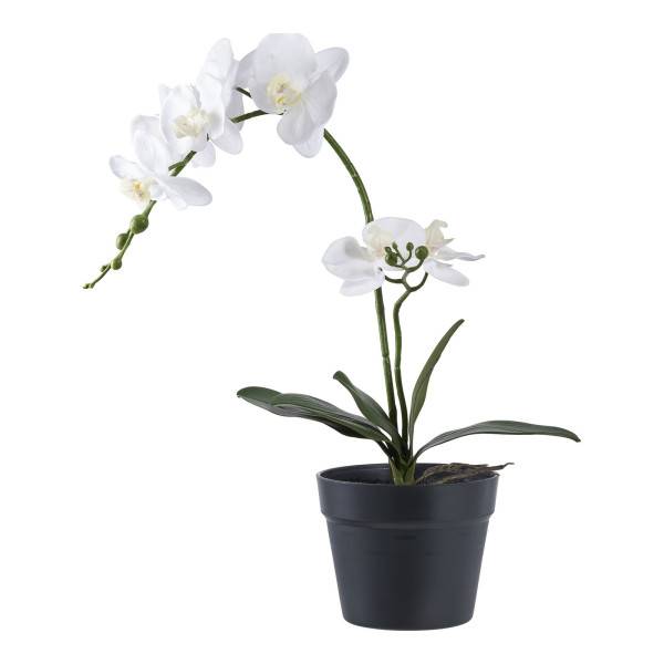 Sztuczna roślina Orchidea biała o wysokości 49 cm z tworzywa 652344