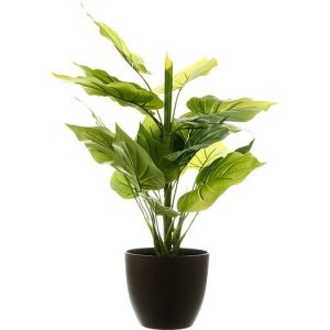 Sztuczna roślina ozdobna, 45 cm, naturalna w dotyku 81502 Sztuczna roślina ozdobna, 45 cm, naturalna w dotyku 81502