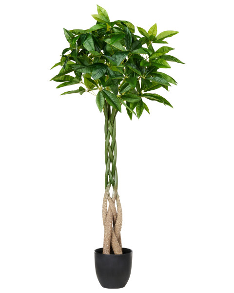 Sztuczna roślina w doniczce 120 cm drzewko pieniężne 438735