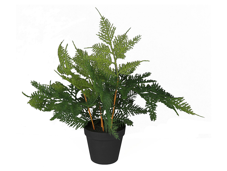 Sztuczna roślina w doniczce Asparagus 45 cm 52202