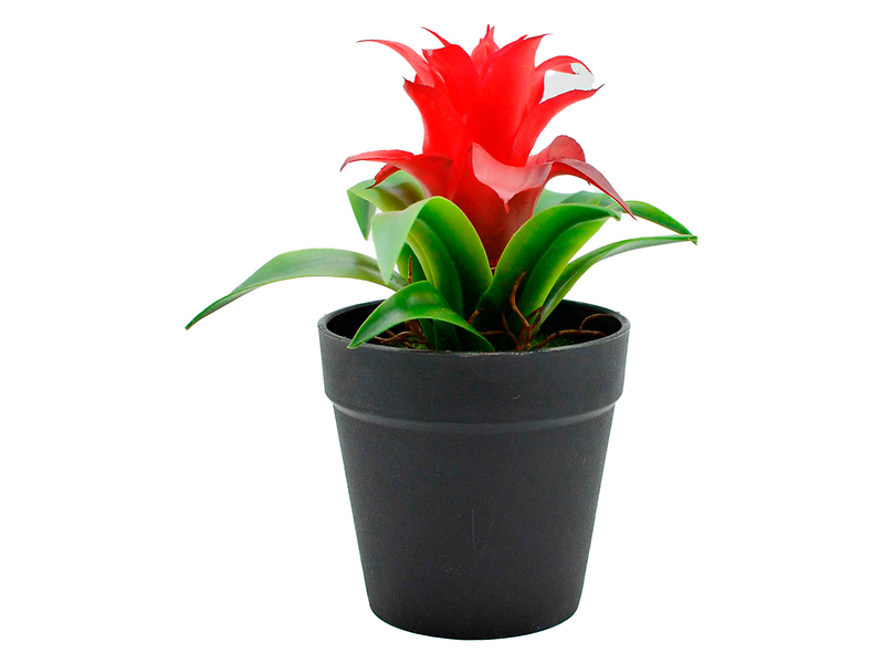 Sztuczna roślina w doniczce Guzmania 20 cm 44593