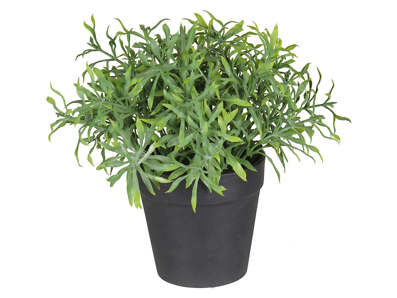 Sztuczna roślina w doniczce Herbs I 20 cm zielona 52217