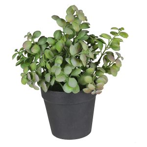 Sztuczna roślina w doniczce Herbs II 20 cm 52218 Sztuczna roślina w doniczce Herbs II 20 cm 52218