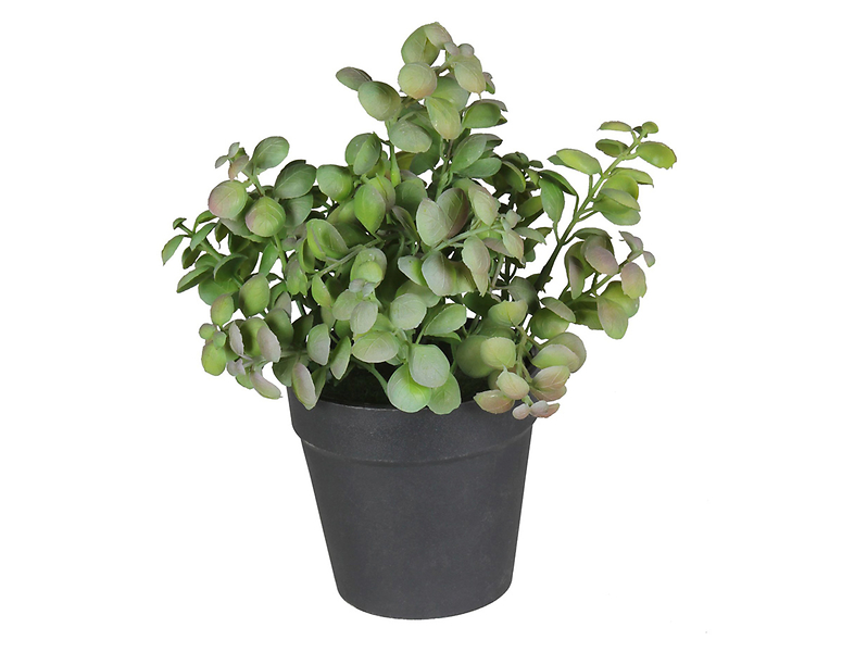 Sztuczna roślina w doniczce Herbs II 20 cm 52218
