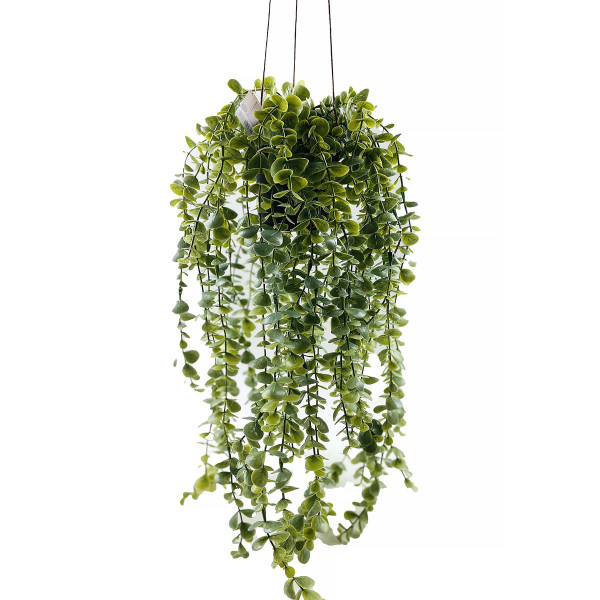 Sztuczna roślina wisząca SENECIO, 60 cm 161094