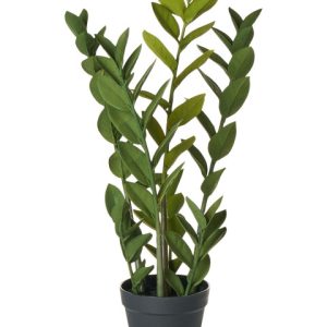 Sztuczna roślina ZAMIIFOLIA 76 cm Zielony 728989 Sztuczna roślina ZAMIIFOLIA 76 cm Zielony 728989