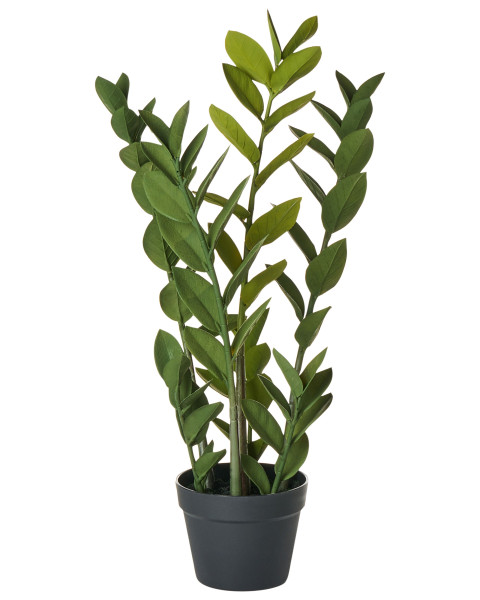 Sztuczna roślina ZAMIIFOLIA 76 cm Zielony 728989