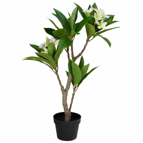 Sztuczne drzewko frangipani biała 90 cm w doniczce 991762