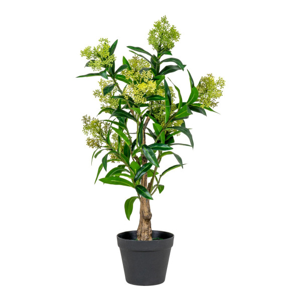 Sztuczne DRZEWO Skimmia o wysokości 75 cm z tworzywa 652337