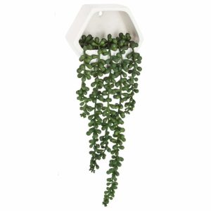 Sztuczne kwiaty na ścianę Starzec zwisający, 14 cm 81467