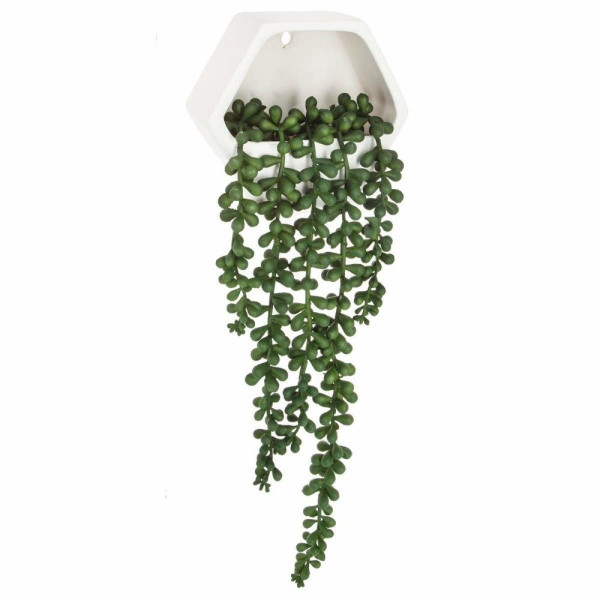 Sztuczne kwiaty na ścianę Starzec zwisający, 14 cm 81467