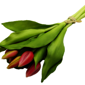 Sztuczny bukiet Tulipanów 7 szt. 33 cm różowych 55245 Sztuczny bukiet Tulipanów 7 szt. 33 cm różowych 55245