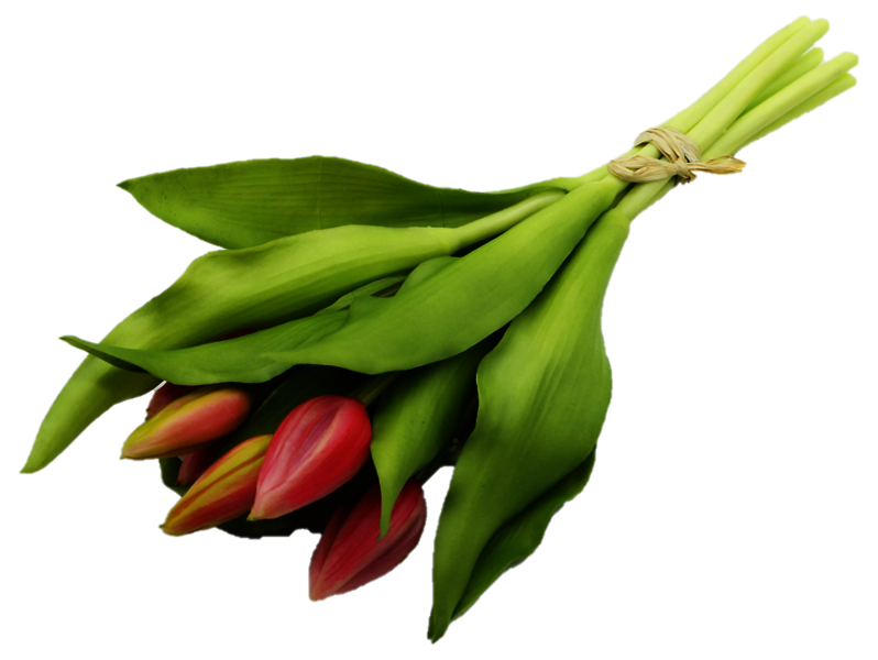 Sztuczny bukiet Tulipanów 7 szt. 33 cm różowych 55245