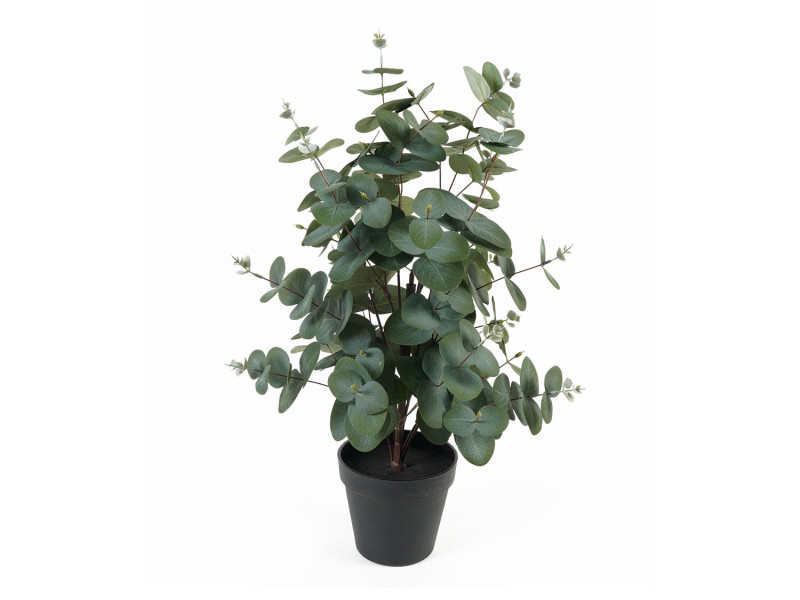 Sztuczny eukaliptus w doniczce EDEN, 54 cm 437220