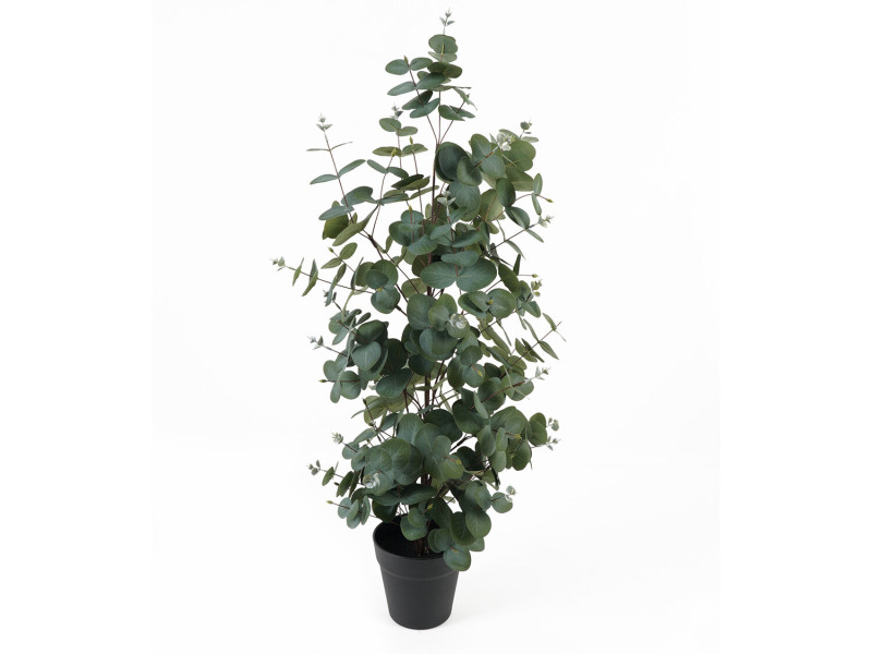 Sztuczny eukaliptus w doniczce EDEN, 78 cm 437218