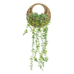 Sztuczny eukaliptus w plecionej doniczce, 70 cm 311926 Sztuczny eukaliptus w plecionej doniczce, 70 cm 311926