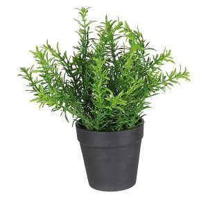 Sztuczny kwiat w doniczce Herbs III 22 cm 52219 Sztuczny kwiat w doniczce Herbs III 22 cm 52219