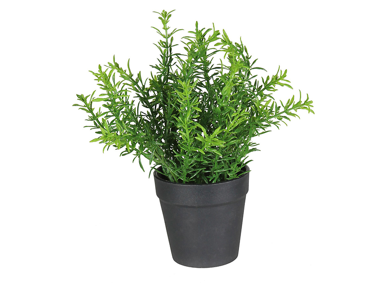 Sztuczny kwiat w doniczce Herbs III 22 cm 52219
