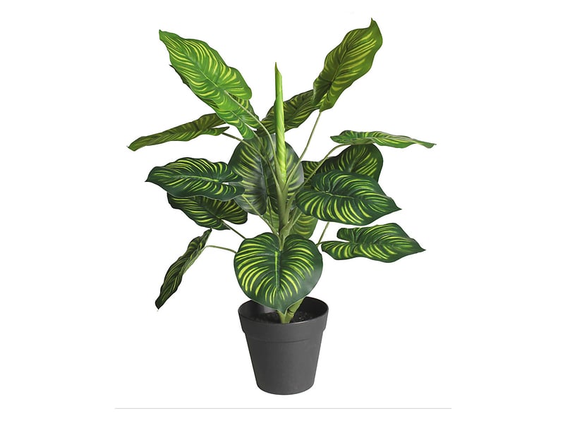 Sztuczny kwiat w doniczce Maranta 45 cm 52225