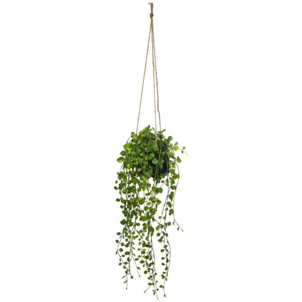 Sztuczny kwiat w doniczce Peperomia, wiszący, Ø 18 x 62 cm 81432