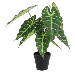 Sztuczny kwiat w doniczce Xanthosoma 38 cm 93548 Sztuczny kwiat w doniczce Xanthosoma 38 cm 93548